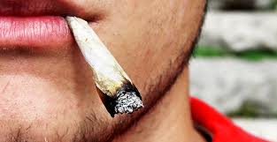 Kövessük Amigot és Kendertáncot, a kannabiszpont bloggereit!