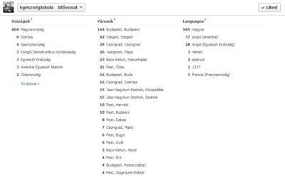 Netgenerációs szakadék