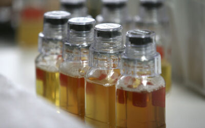 Az iskolai drogtesztelés nem hatékony