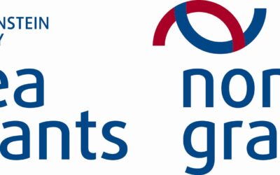 PEER KAPITÁNY indulhat, nyertünk az NCTA pályázaton!