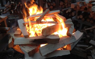 "Nedves fából is lehet tüzet rakni" –  Interjú Zsarátnokkal