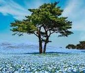 Kliensfogadás a gát utcai ambulancián